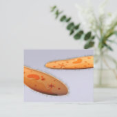 Microscopisch Uitzicht van paramecium 4 Briefkaart (Staand voorkant)