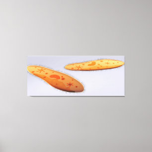 Microscopisch Uitzicht van paramecium 4 Canvas Afdruk