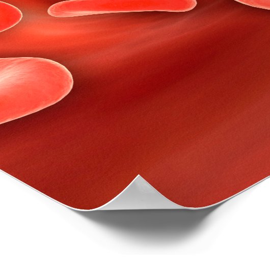 Microscopisch Uitzicht van rode bloedcellen die st Poster (Hoek)