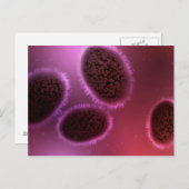 Microscopisch Uitzicht van Samlpox 2 Briefkaart (Voorkant / Achterkant)