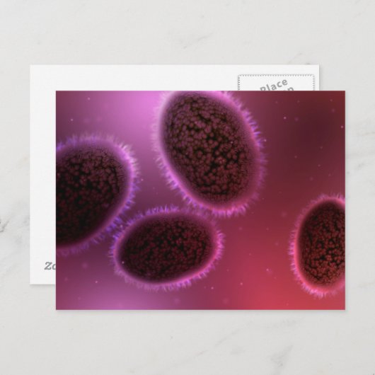 Microscopisch Uitzicht van Samlpox 2 Briefkaart (Voorkant / Achterkant)