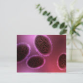 Microscopisch Uitzicht van Samlpox 2 Briefkaart (Staand voorkant)