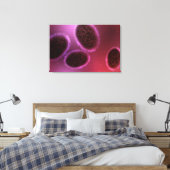 Microscopisch Uitzicht van Samlpox 2 Canvas Afdruk (Insitu (Slaapkamer))