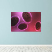 Microscopisch Uitzicht van Samlpox 2 Canvas Afdruk (Insitu (Houten vloer))