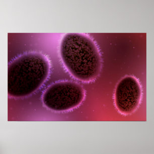Microscopisch Uitzicht van Samlpox 2 Poster