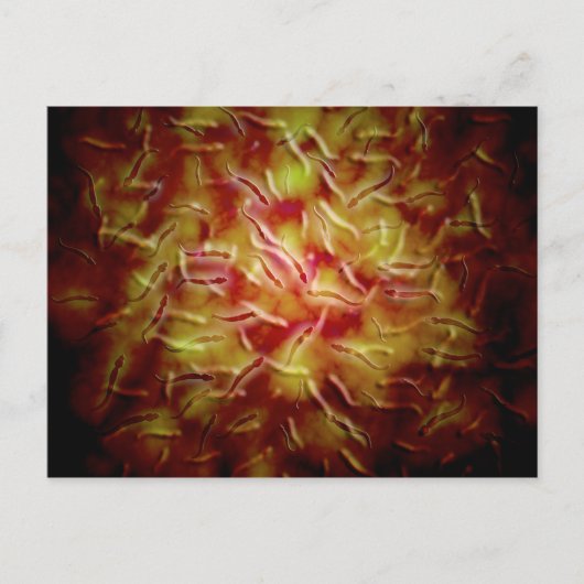 Microscopisch Uitzicht van Sperm Briefkaart (Voorkant)
