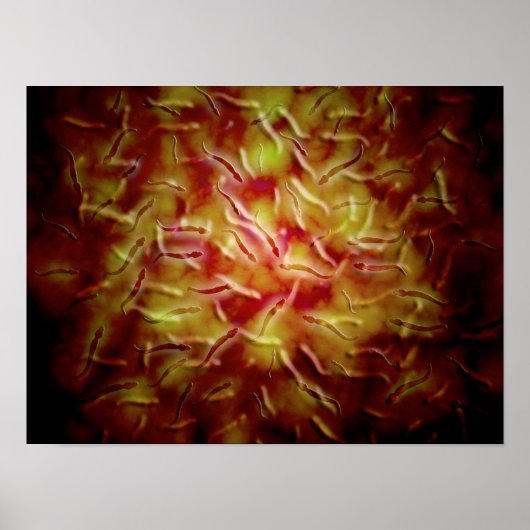 Microscopisch Uitzicht van Sperm Poster (Voorkant)
