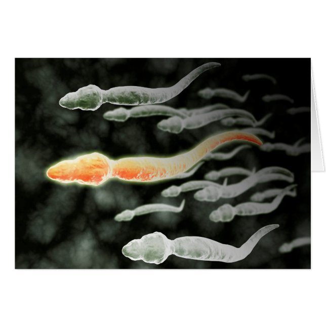Microscopisch Uitzicht van Sperm Traveling (Voorkant Horizontaal)