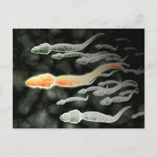 Microscopisch Uitzicht van Sperm Traveling Briefkaart (Voorkant)