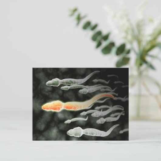 Microscopisch Uitzicht van Sperm Traveling Briefkaart (Staand voorkant)