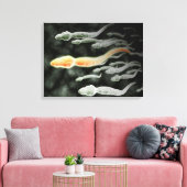 Microscopisch Uitzicht van Sperm Traveling Canvas Afdruk (Insitu (Woonkamer))