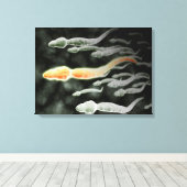 Microscopisch Uitzicht van Sperm Traveling Canvas Afdruk (Insitu (Houten vloer))
