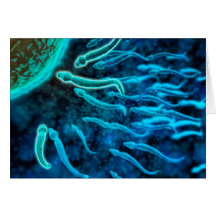 Microscopisch Uitzicht van spinzwemmen naar eieren