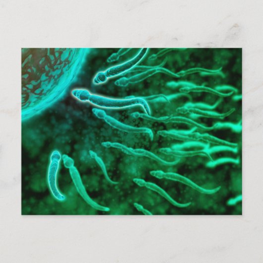 Microscopisch Uitzicht van spinzwemmen naar eieren Briefkaart (Voorkant)
