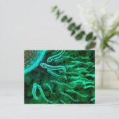 Microscopisch Uitzicht van spinzwemmen naar eieren Briefkaart (Staand voorkant)