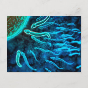 Microscopisch Uitzicht van spinzwemmen naar eieren Briefkaart