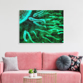Microscopisch Uitzicht van spinzwemmen naar eieren Canvas Afdruk (Insitu (Woonkamer))