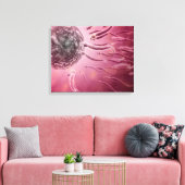 Microscopisch Uitzicht van spinzwemmen naar eieren Canvas Afdruk (Insitu (Woonkamer))