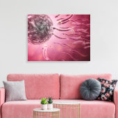 Microscopisch Uitzicht van spinzwemmen naar eieren Canvas Afdruk (Insitu (Woonkamer))