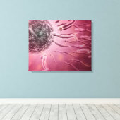 Microscopisch Uitzicht van spinzwemmen naar eieren Canvas Afdruk (Insitu (Houten vloer))