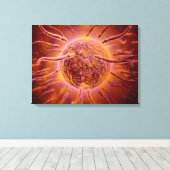 Microscopisch Uitzicht van spinzwemmen naar eieren Canvas Afdruk (Insitu (Houten vloer))