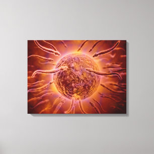 Microscopisch Uitzicht van spinzwemmen naar eieren Canvas Afdruk