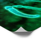 Microscopisch Uitzicht van spinzwemmen naar eieren Poster (Hoek)