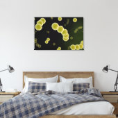Microscopisch Uitzicht van Streptococcus 1 Canvas Afdruk (Insitu (Slaapkamer))