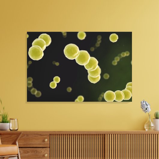 Microscopisch Uitzicht van Streptococcus 1 Canvas Afdruk (Insitu (Woonkamer))