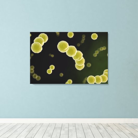Microscopisch Uitzicht van Streptococcus 1 Canvas Afdruk (Insitu (Houten vloer))