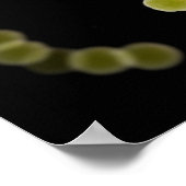 Microscopisch Uitzicht van Streptococcus 1 Poster (Hoek)