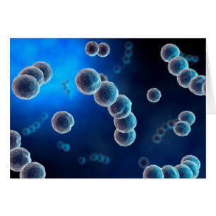 Microscopisch Uitzicht van Streptococcus 2