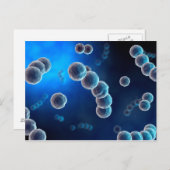 Microscopisch Uitzicht van Streptococcus 2 Briefkaart (Voorkant / Achterkant)