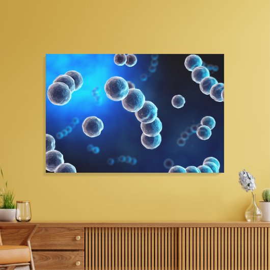 Microscopisch Uitzicht van Streptococcus 2 Canvas Afdruk (Insitu (Woonkamer))