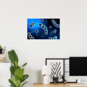 Microscopisch Uitzicht van Streptococcus 2 Poster (Thuiskantoor)