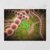 Microscopisch Uitzicht van Streptococcus pneumonia Briefkaart (Voorkant)