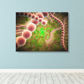 Microscopisch Uitzicht van Streptococcus pneumonia Canvas Afdruk (Insitu (Houten vloer))