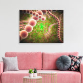 Microscopisch Uitzicht van Streptococcus pneumonia Canvas Afdruk (Insitu (Woonkamer))