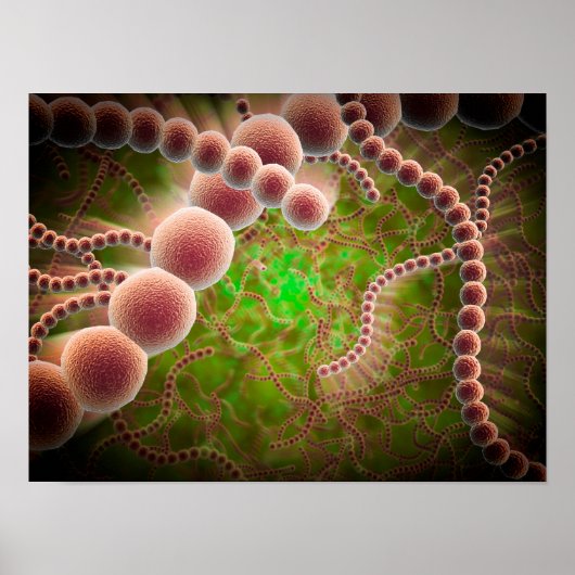 Microscopisch Uitzicht van Streptococcus pneumonia Poster (Voorkant)