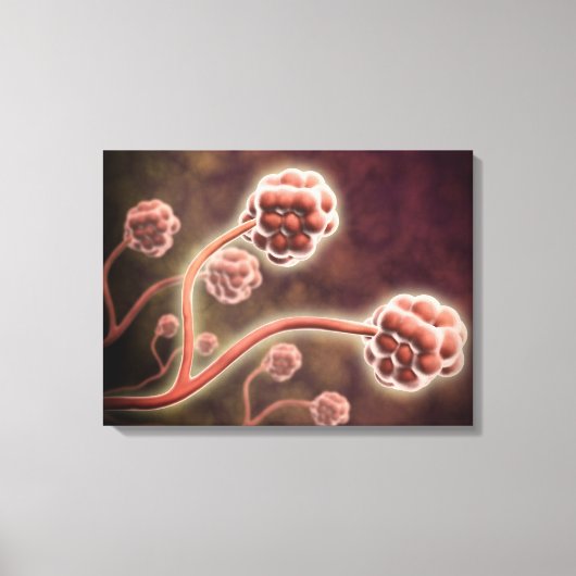 Microscopisch Uitzicht van tachybotrys Chartarum Canvas Afdruk (Voorkant)