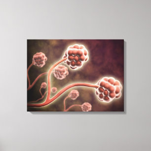 Microscopisch Uitzicht van tachybotrys Chartarum Canvas Afdruk