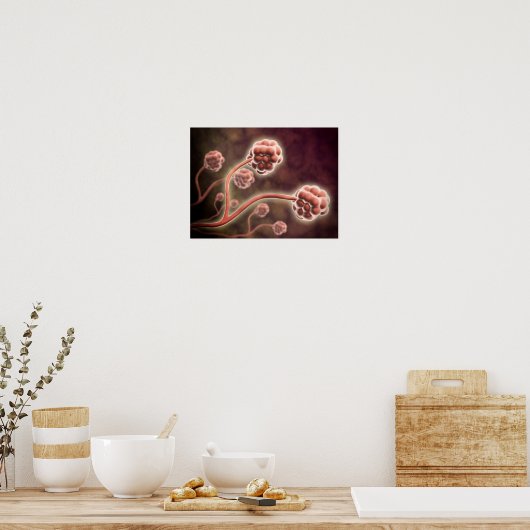 Microscopisch Uitzicht van tachybotrys Chartarum Poster (Keuken)