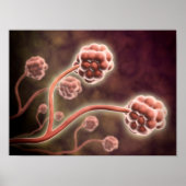 Microscopisch Uitzicht van tachybotrys Chartarum Poster (Voorkant)