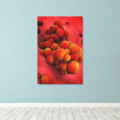 Microscopisch Uitzicht van tumor 2 Canvas Afdruk (Insitu (Houten vloer))