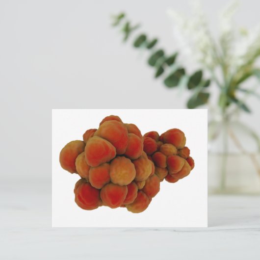 Microscopisch Uitzicht van tumor 4 Briefkaart (Staand voorkant)