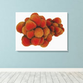 Microscopisch Uitzicht van tumor 4 Canvas Afdruk (Insitu (Houten vloer))