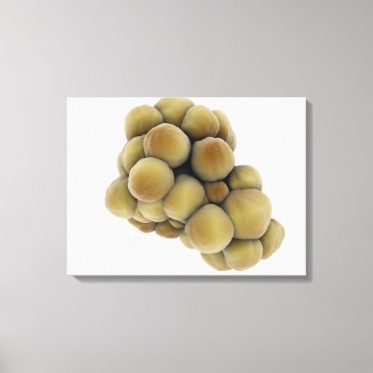 Microscopisch Uitzicht van tumor 5 Canvas Afdruk (Voorkant)