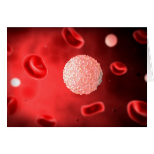 Microscopisch Uitzicht van witte bloedcellen (Voorkant Horizontaal)