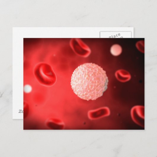Microscopisch Uitzicht van witte bloedcellen Briefkaart (Voorkant / Achterkant)