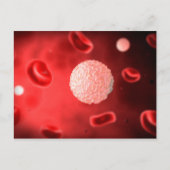 Microscopisch Uitzicht van witte bloedcellen Briefkaart (Voorkant)